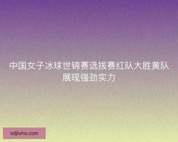 中国女子冰球世锦赛选拔赛红队大胜黄队展现强劲实力