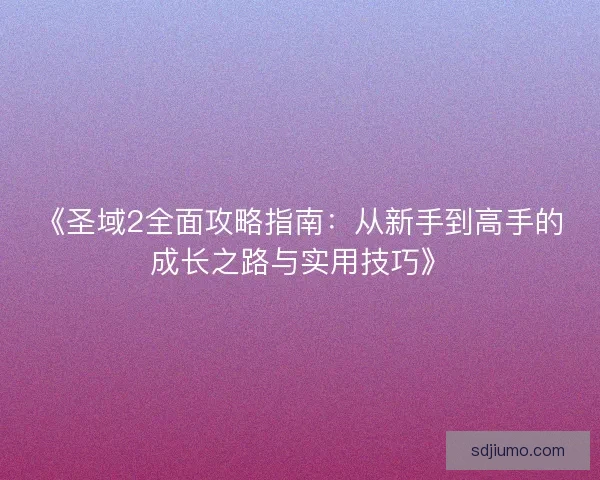 《圣域2全面攻略指南：从新手到高手的成长之路与实用技巧》