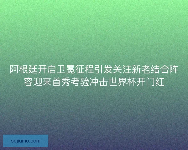 阿根廷开启卫冕征程引发关注新老结合阵容迎来首秀考验冲击世界杯开门红